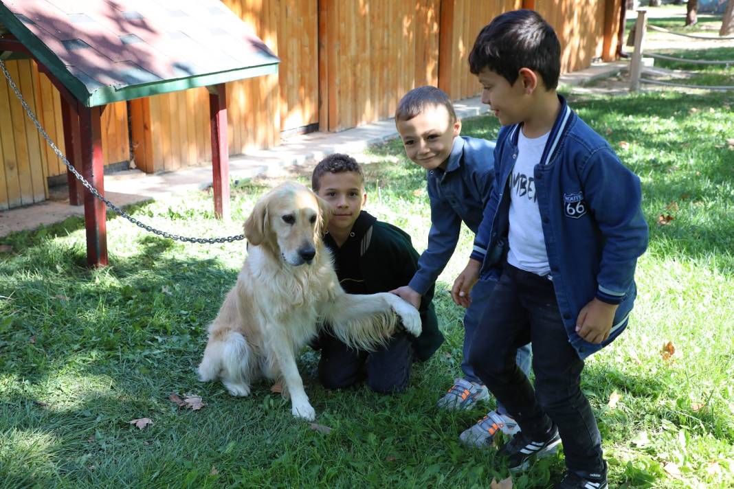 Karatay’ın duvarsız okulunda eğitimler başladı 1